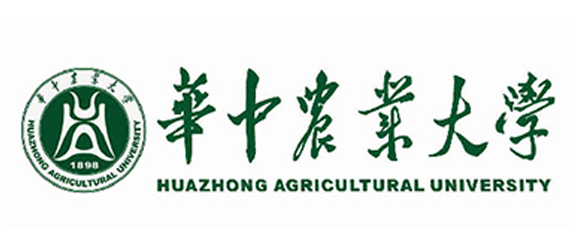 1588228301336611.jpg 4.jpg